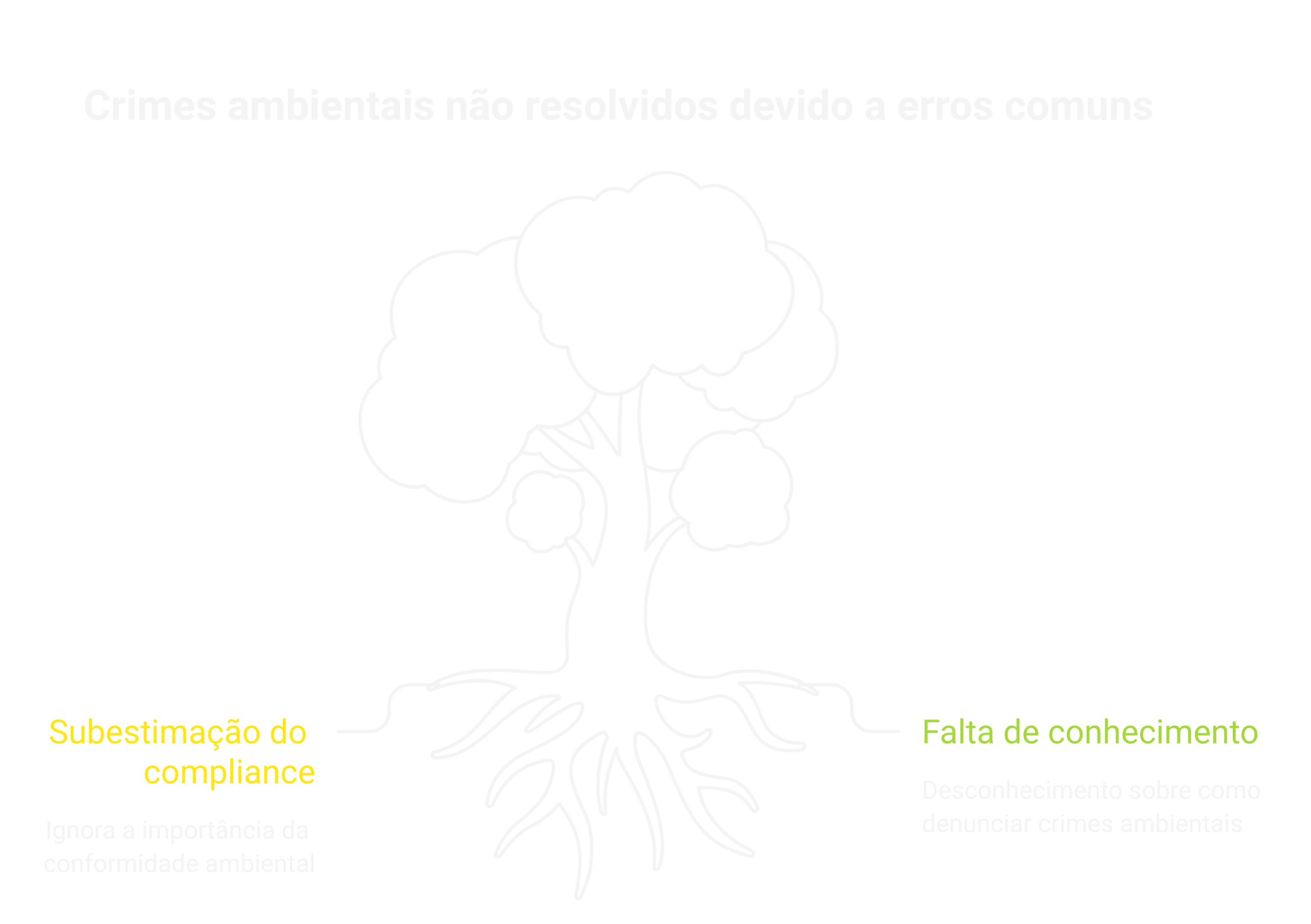 Erros comuns ao lidar com crimes ambientais